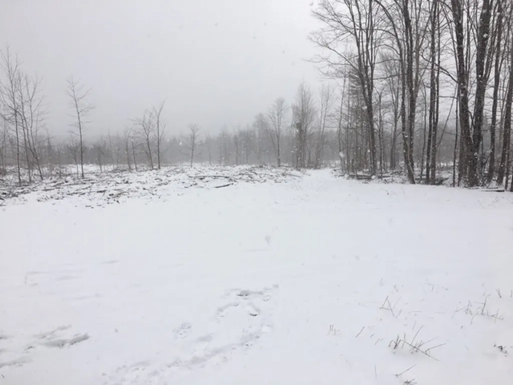 00 Eden Road Lowell VT 05847