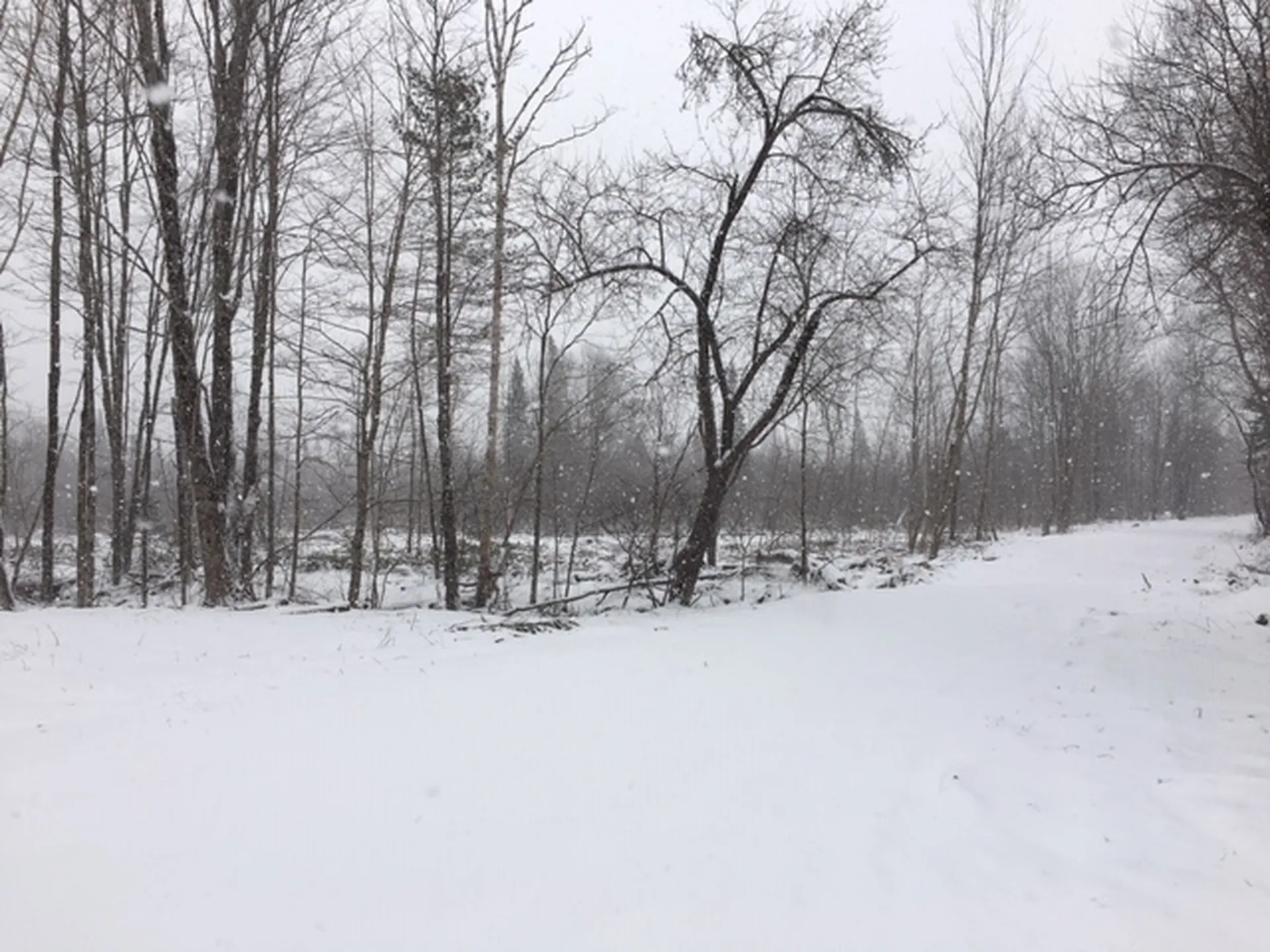 00 Eden Road Lowell VT 05847