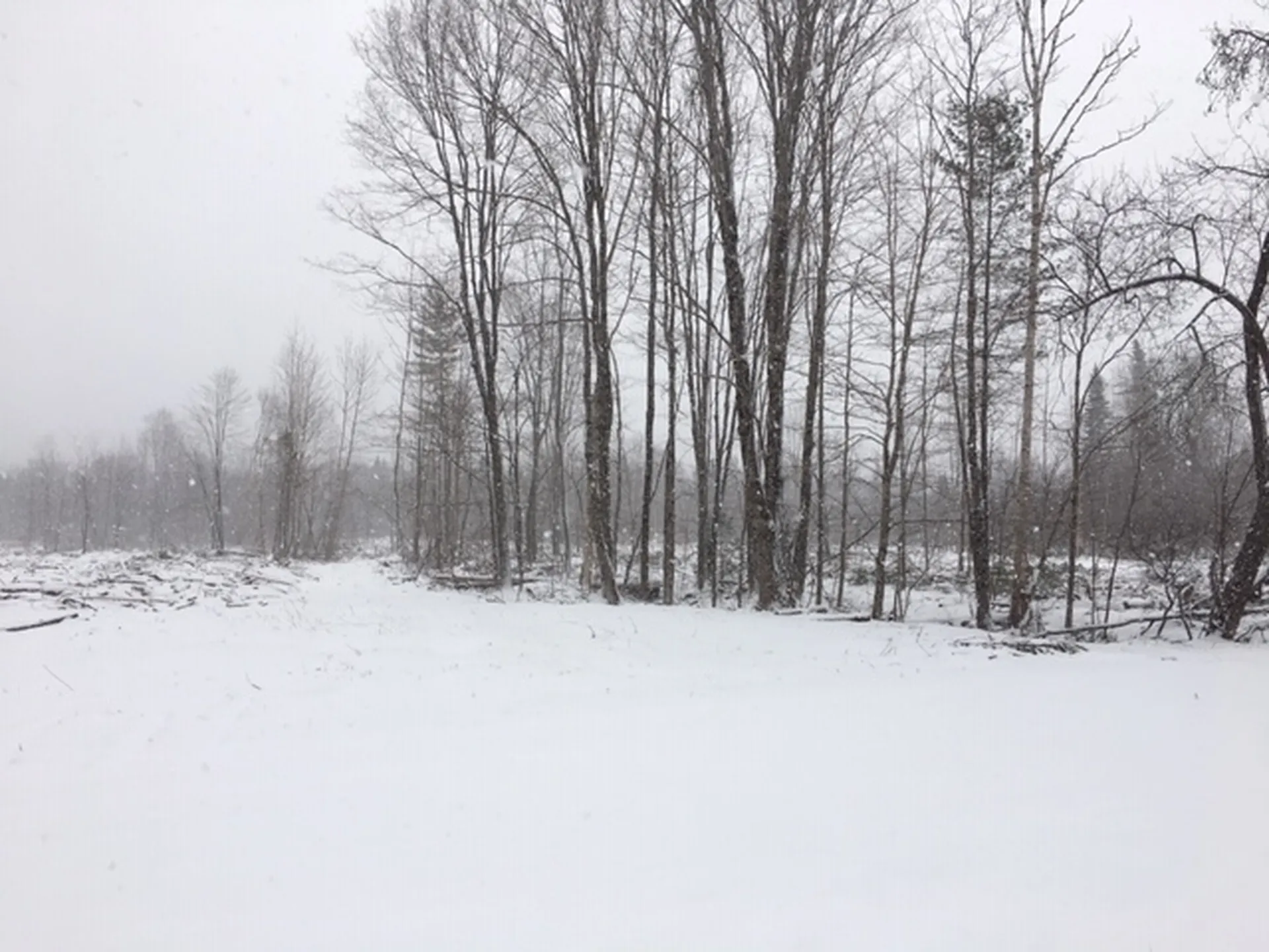 00 Eden Road Lowell VT 05847