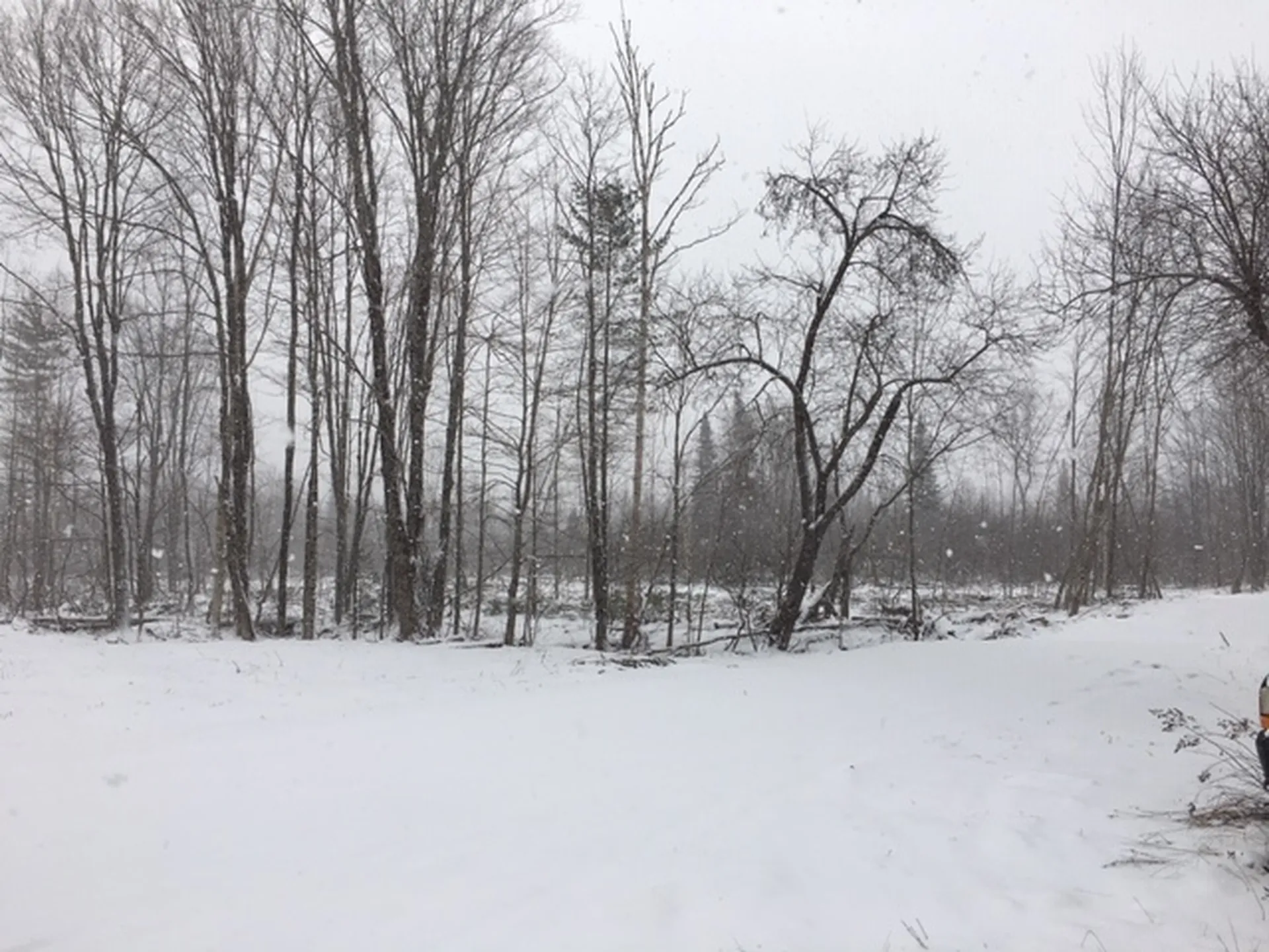 00 Eden Road Lowell VT 05847