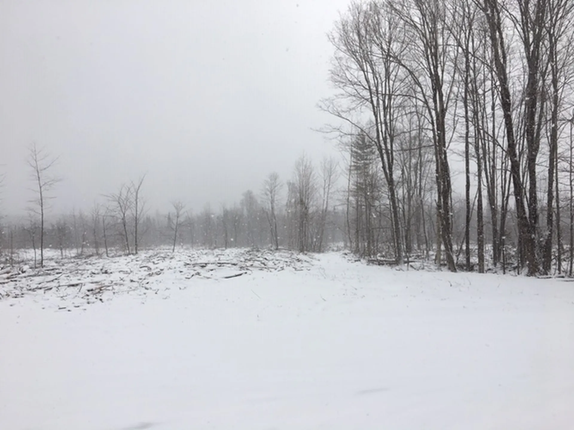 00 Eden Road Lowell VT 05847