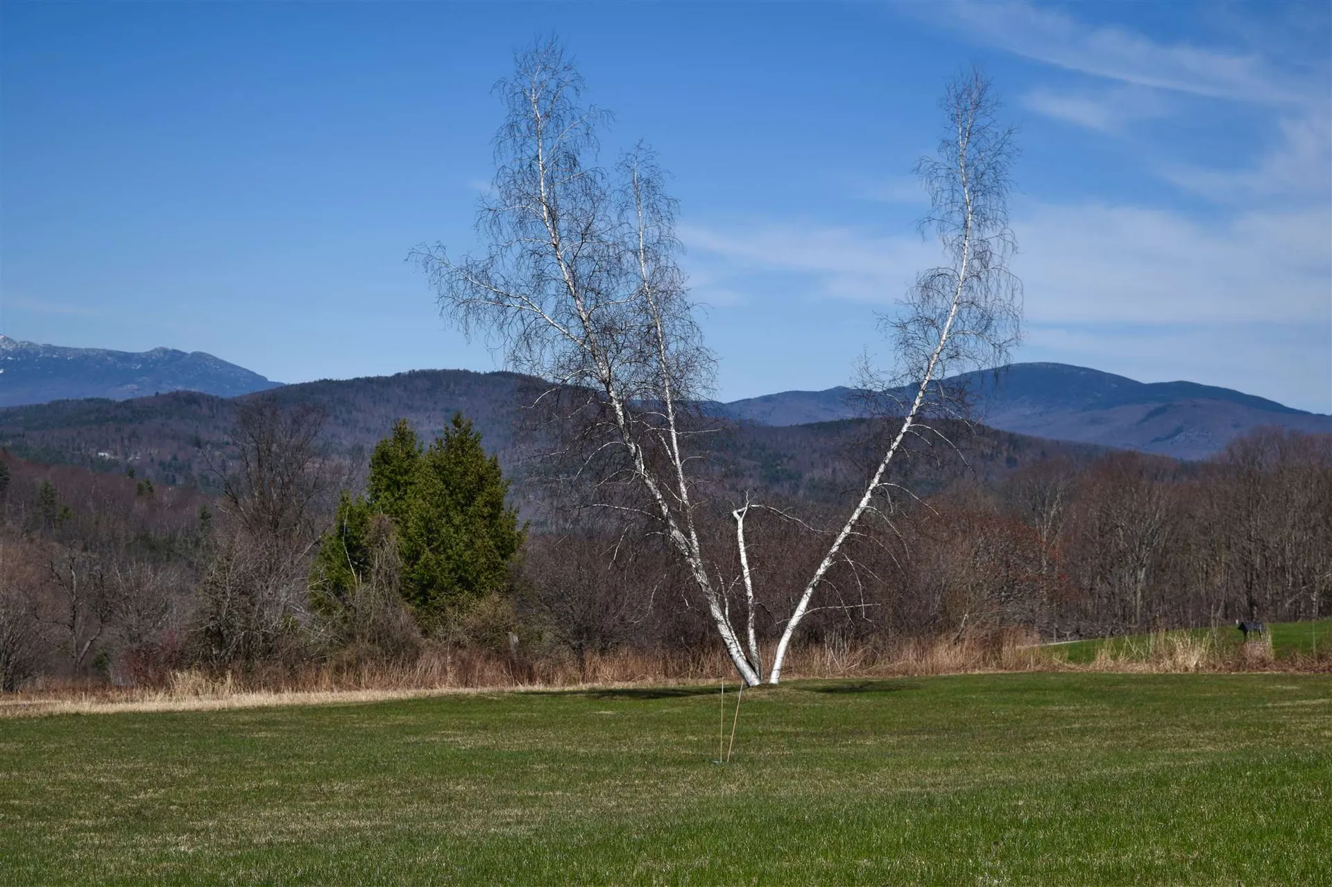 275 Lilac Knoll Richmond VT 05477