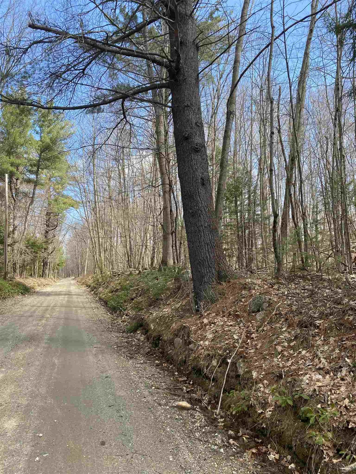46 Fullam Pond Road Winchester NH 03470
