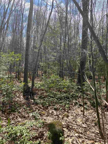 46 Fullam Pond Road Winchester NH 03470