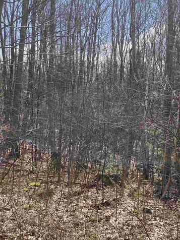 46 Fullam Pond Road Winchester NH 03470