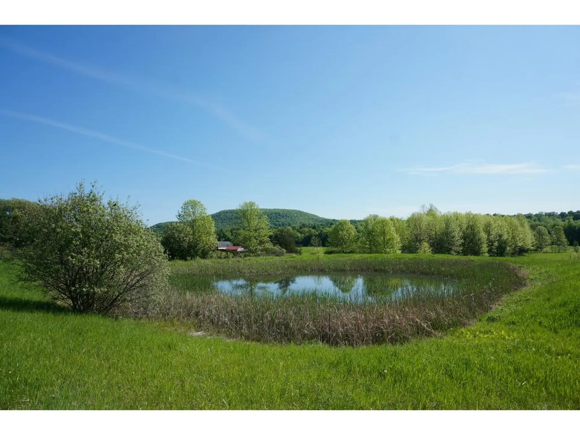 4221 Greenbush Road Charlotte VT 05445