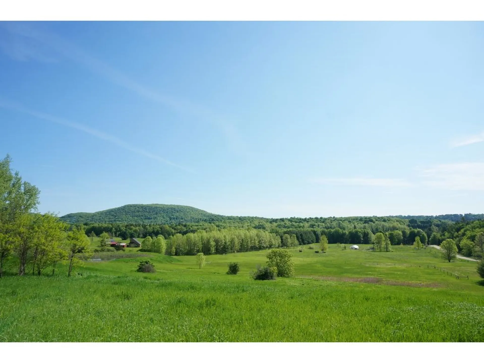 4221 Greenbush Road Charlotte VT 05445
