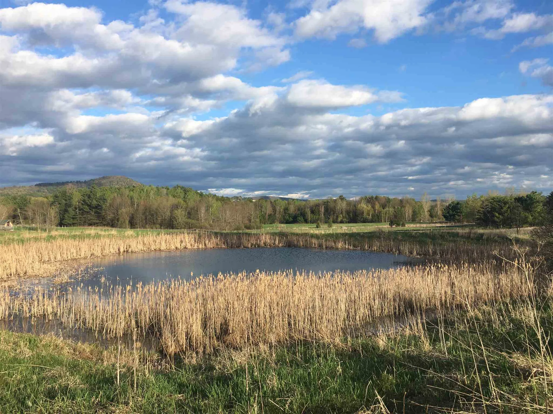 4221 Greenbush Road Charlotte VT 05445