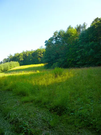 42 Tucker Reed Road Dummerston VT 05301