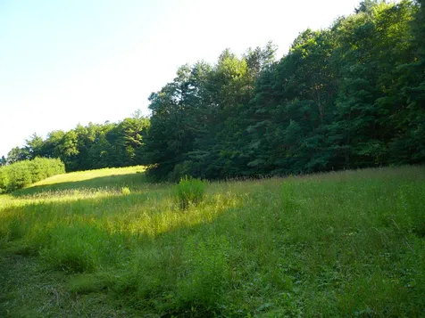 42 Tucker Reed Road Dummerston VT 05301