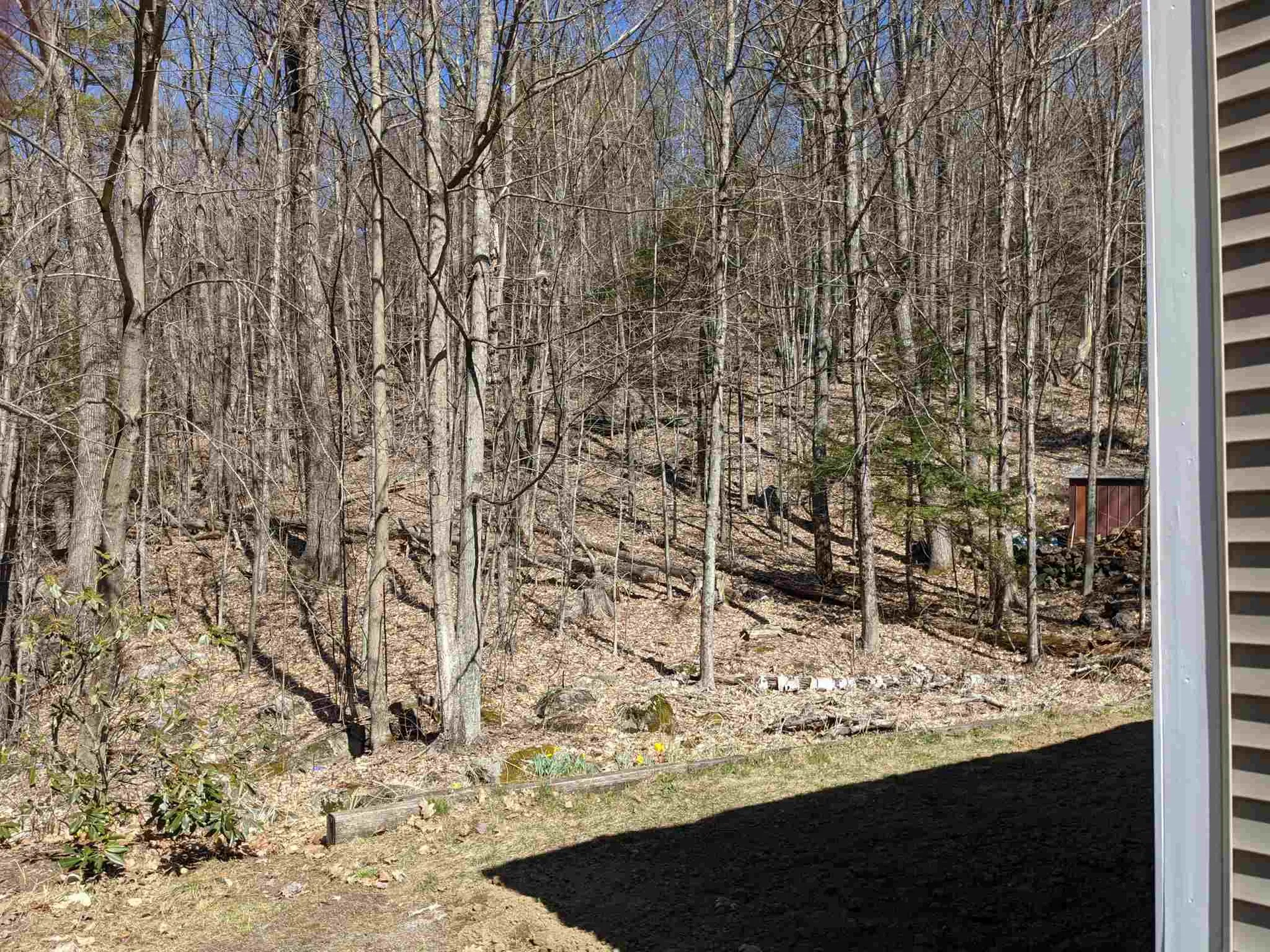 19 Chestnut Avenue Gilmanton NH 03237