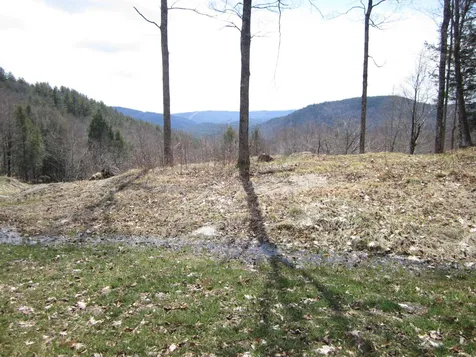 00 School Marm Lane Townshend VT 05353