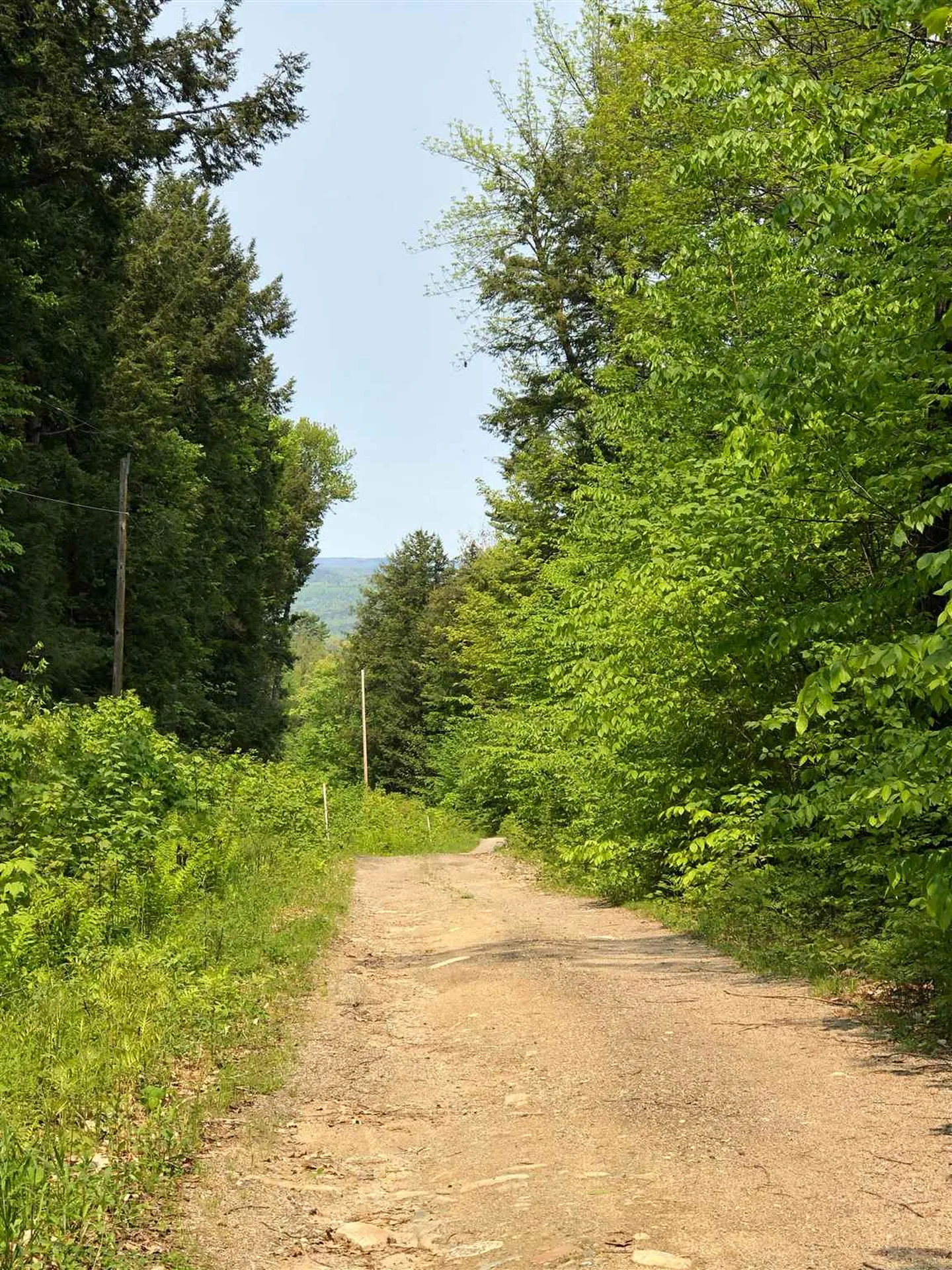 278 Robbins Hill Road Chatham NH 03813