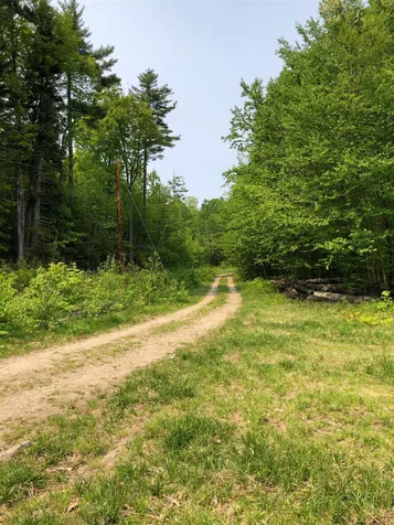 278 Robbins Hill Road Chatham NH 03813