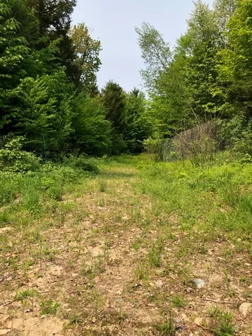 278 Robbins Hill Road Chatham NH 03813