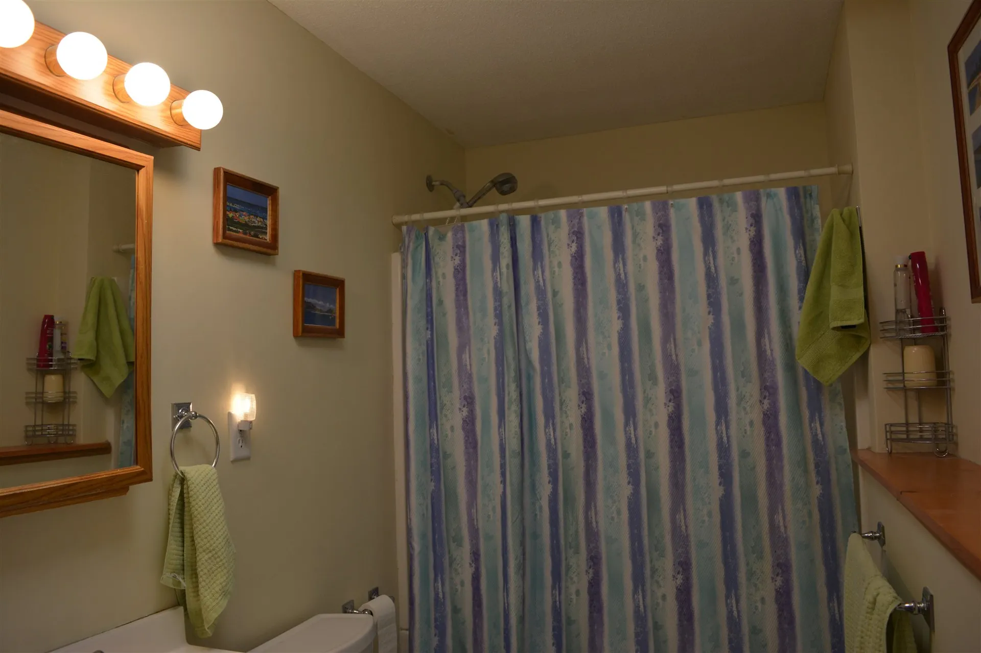 54 Brookridge Drive Grantham NH 03753