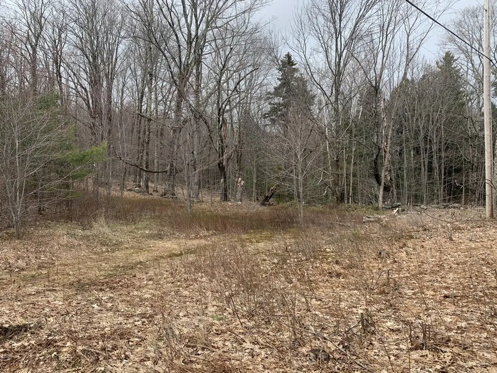 47 Locust Heights Dover VT 05341