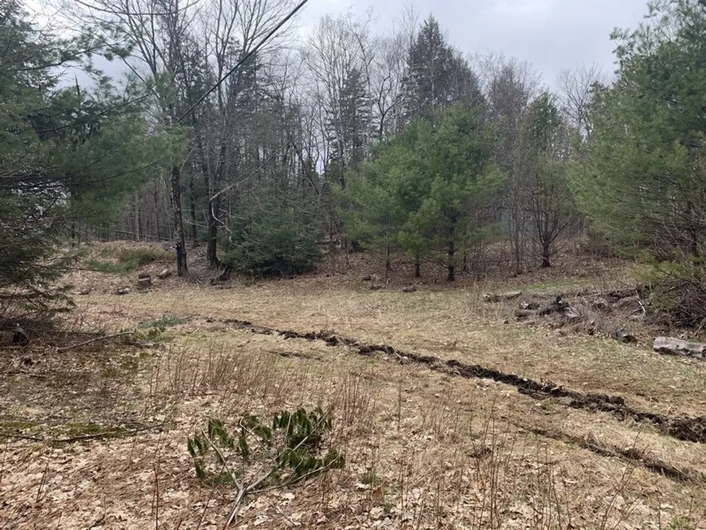 47 Locust Heights Dover VT 05341