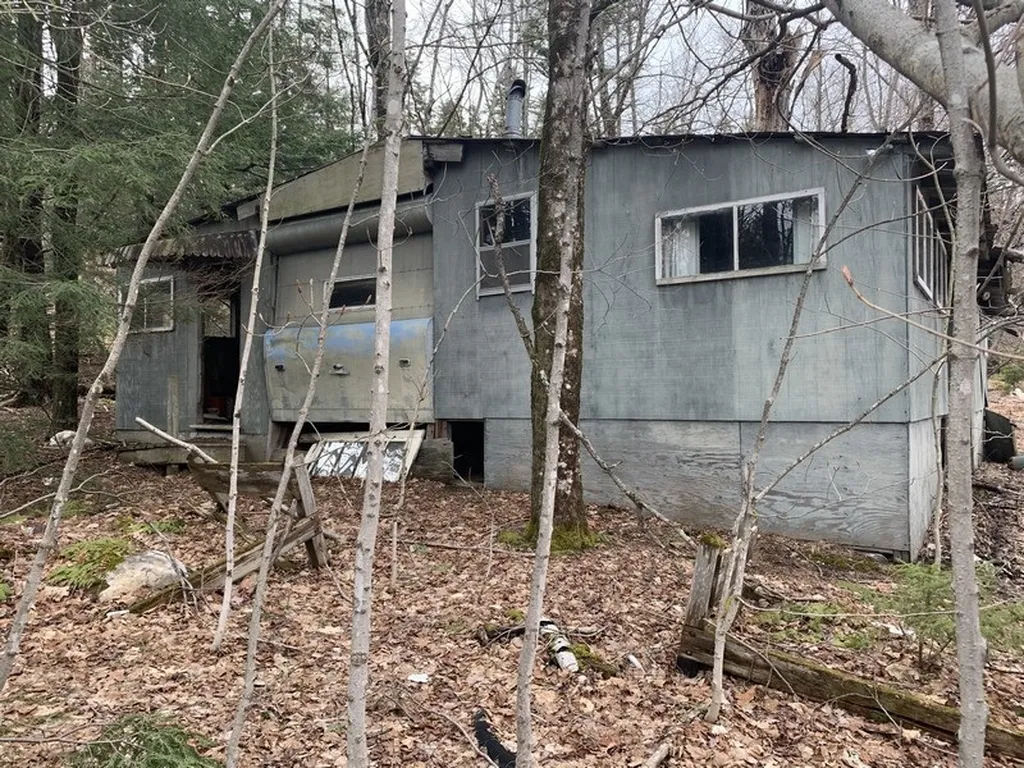 47 Locust Heights Dover VT 05341