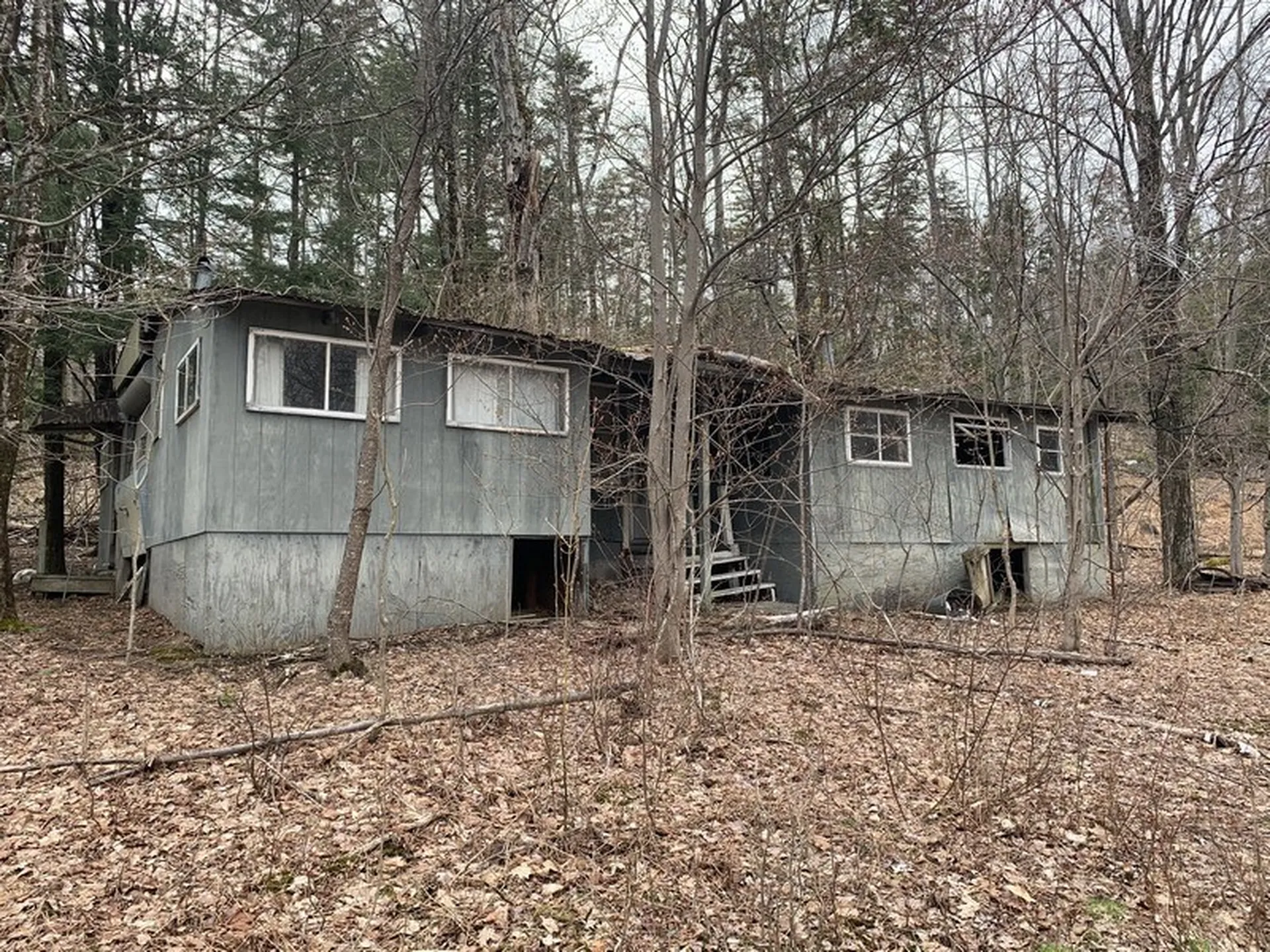 47 Locust Heights Dover VT 05341
