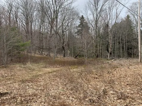 47 Locust Heights Dover VT 05341