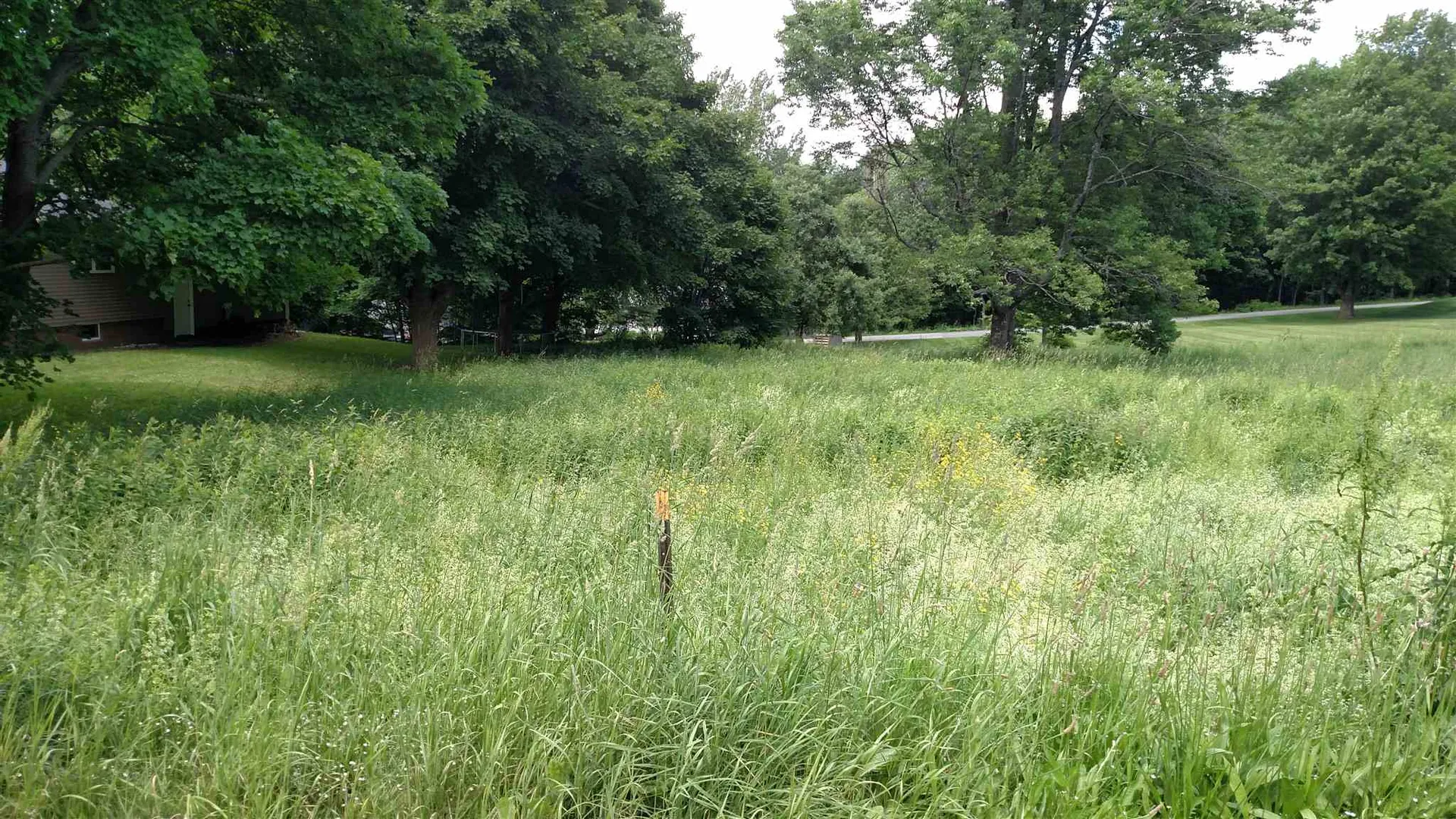 37 Binameg Drive Derby VT 05830-4421