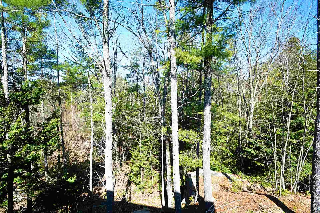 46 Constitution Way Rochester NH 03867