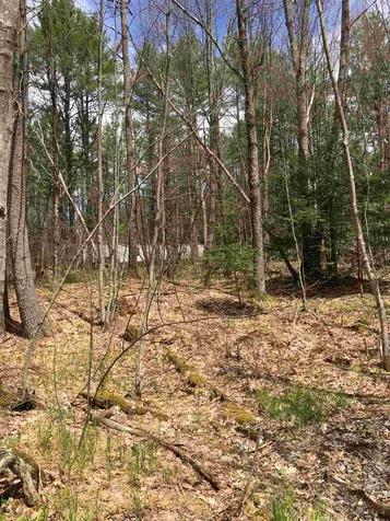 104 Union Road Northfield NH 03276