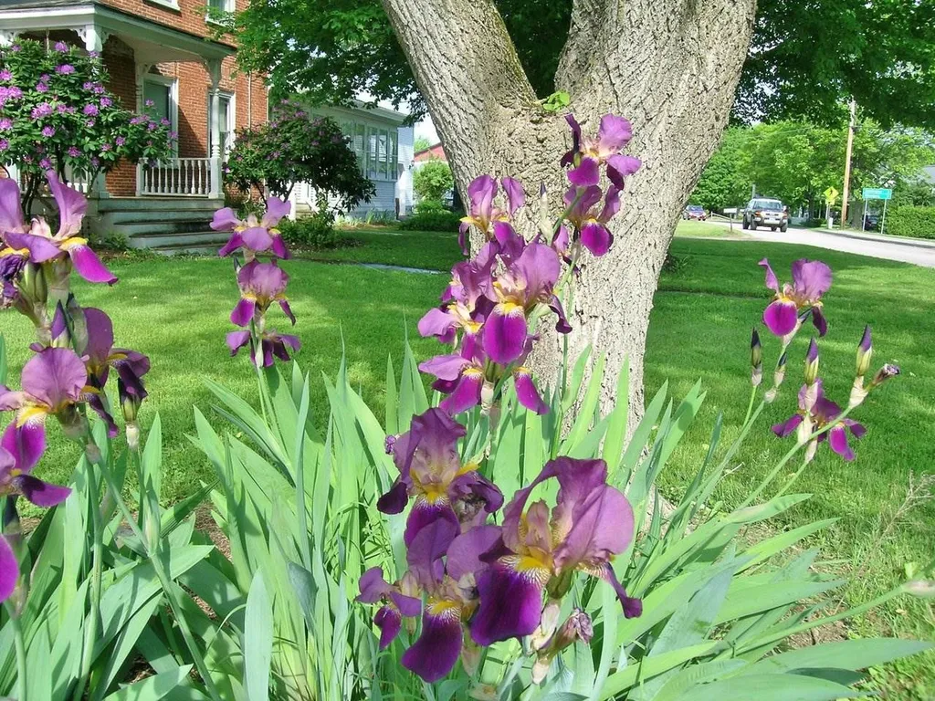 23 Huntington Road Richmond VT 05477