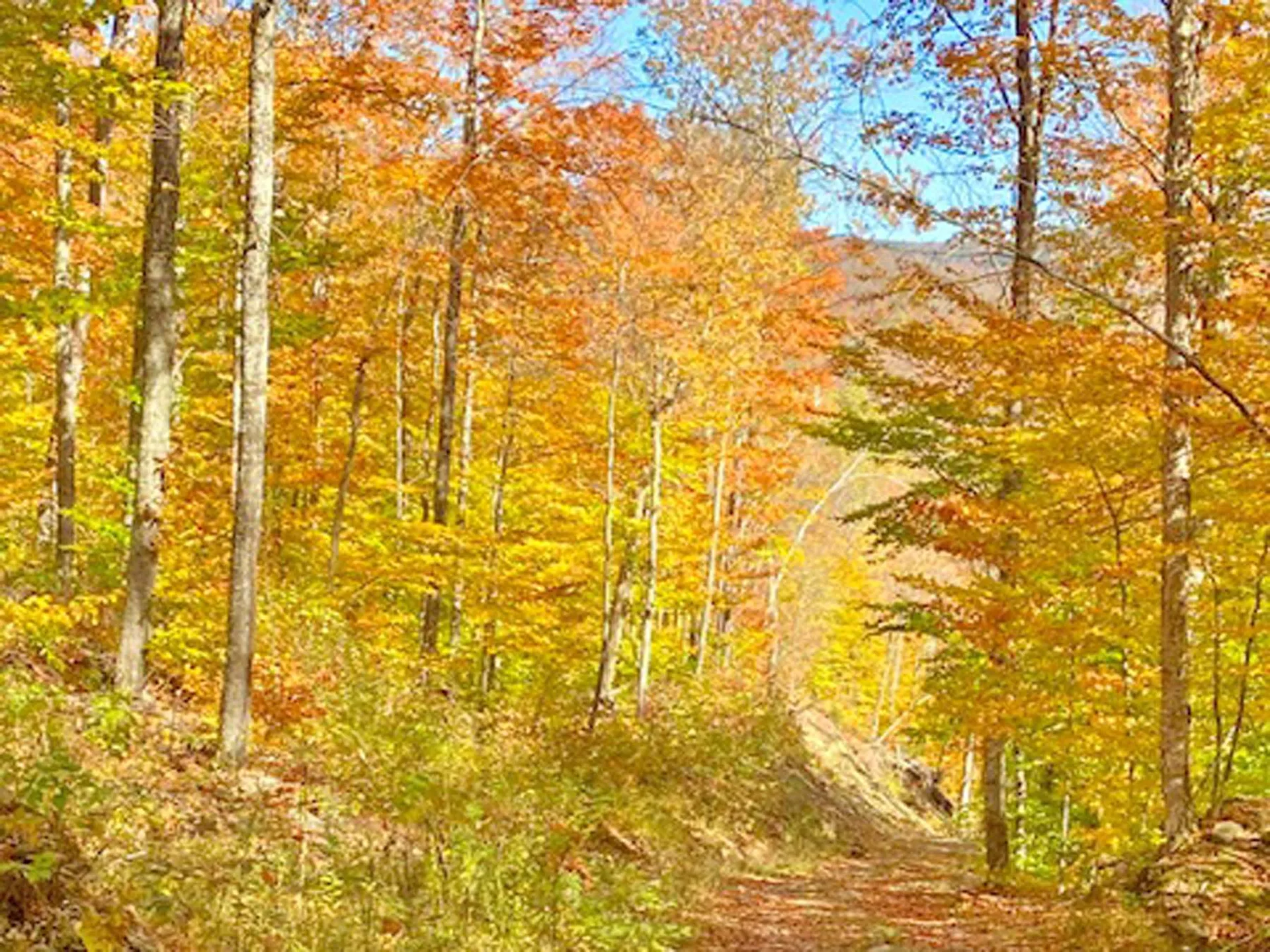 000 Leland Jones Trail Granville VT 05747