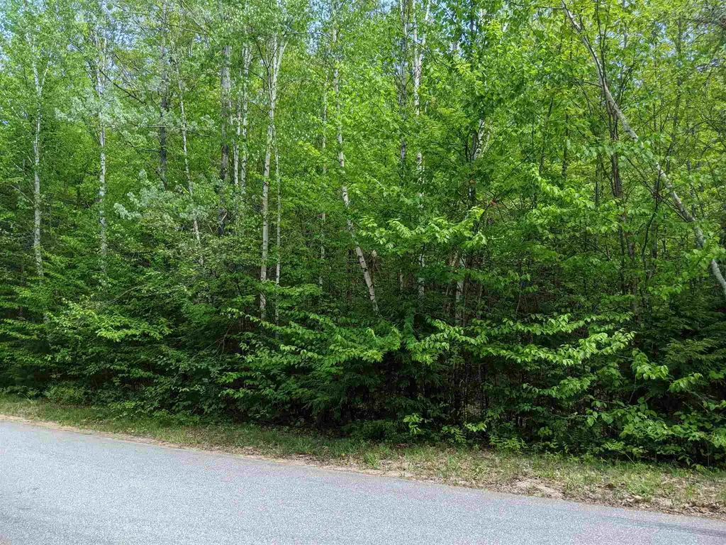 73 Castle Lane/west Shore Road Bristol NH 03222