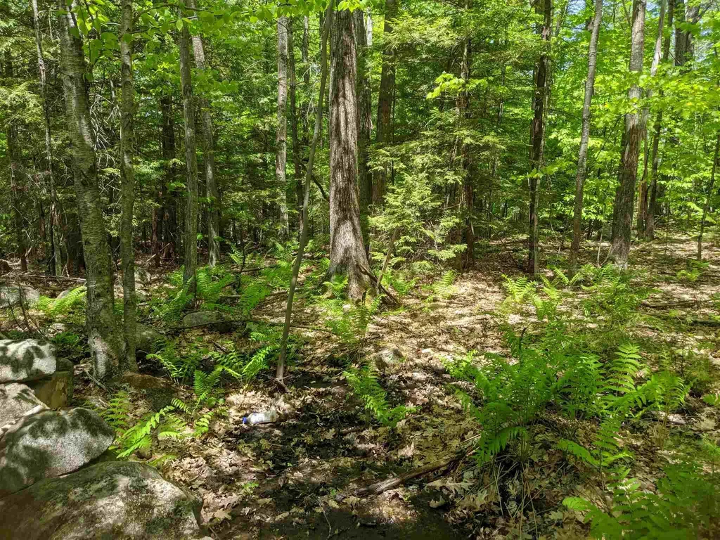 73 Castle Lane/west Shore Road Bristol NH 03222