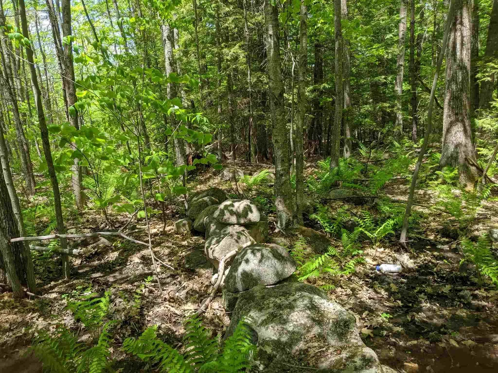 73 Castle Lane/west Shore Road Bristol NH 03222