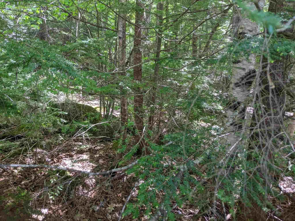73 Castle Lane/west Shore Road Bristol NH 03222