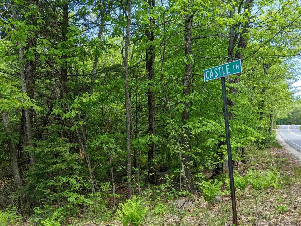 73 Castle Lane/west Shore Road Bristol NH 03222