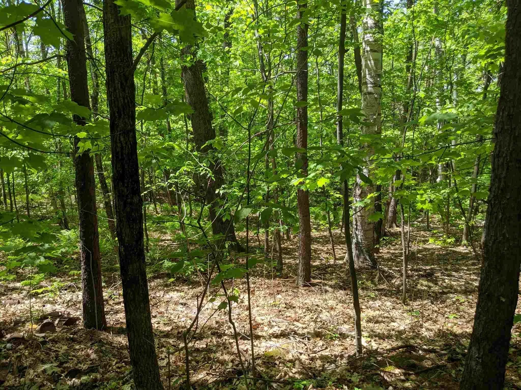 73 Castle Lane/west Shore Road Bristol NH 03222
