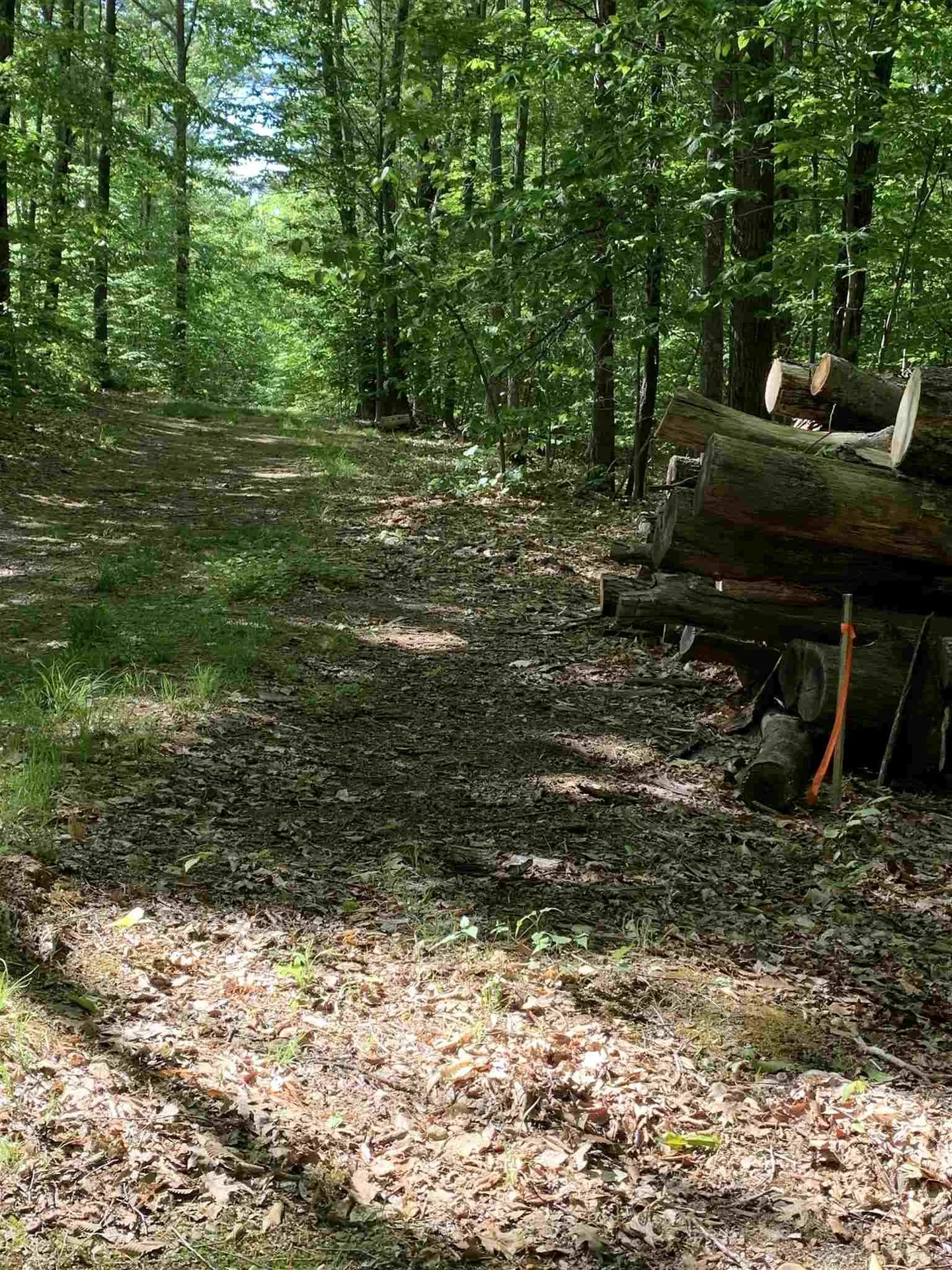 144 Mountain Road Deerfield NH 03037