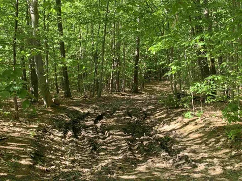 144 Mountain Road Deerfield NH 03037