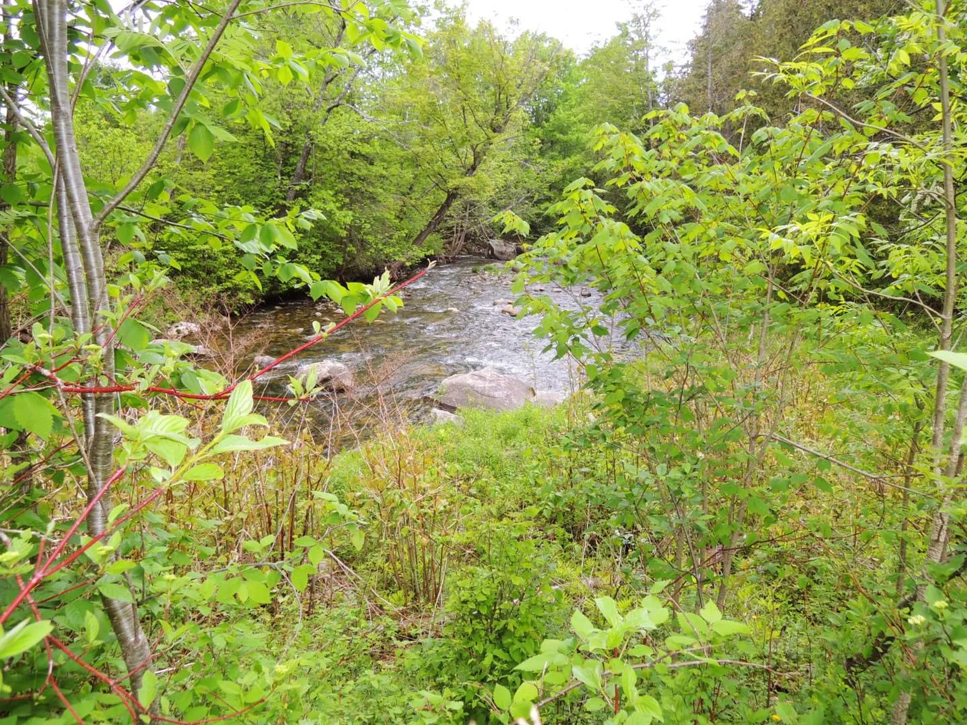 837 Evansville Road Brownington VT 05860