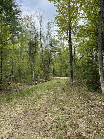 Long View Lane Westmore VT 05860