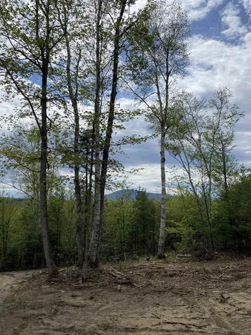 Long View Lane Westmore VT 05860