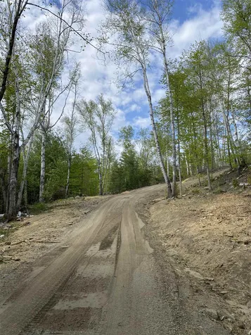 Long View Lane Westmore VT 05860