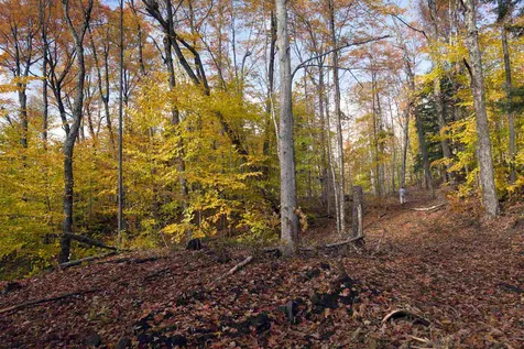 Long View Lane Westmore VT 05860