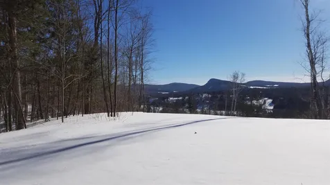 Long View Lane Westmore VT 05860