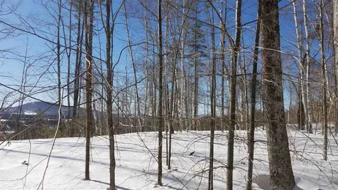 Long View Lane Westmore VT 05860