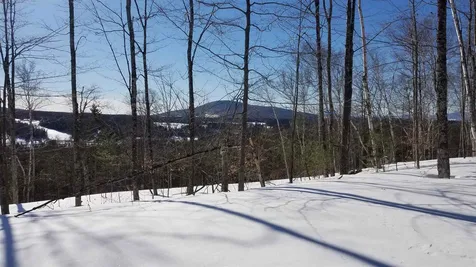 Long View Lane Westmore VT 05860