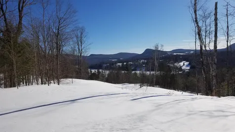 Long View Lane Westmore VT 05860