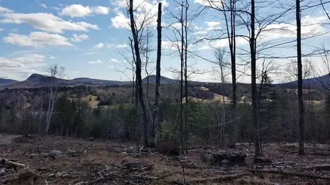 Long View Lane Westmore VT 05860
