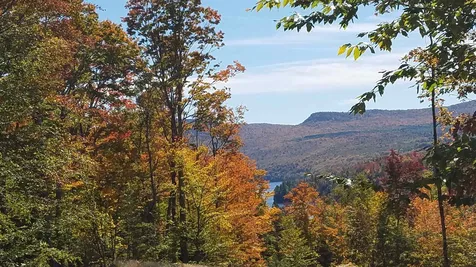 Long View Lane Westmore VT 05860