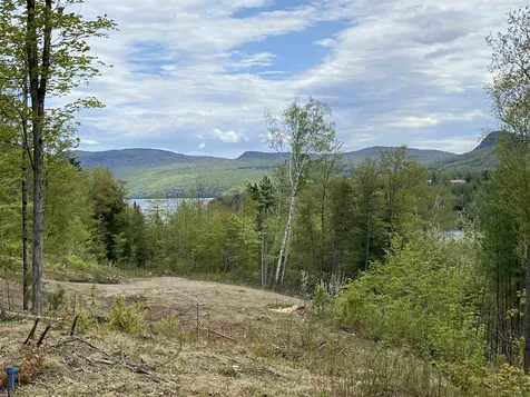 Long View Lane Westmore VT 05860